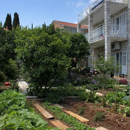Guest house With A Parking Space Zaton Veliki, Dubrovnik - 9010